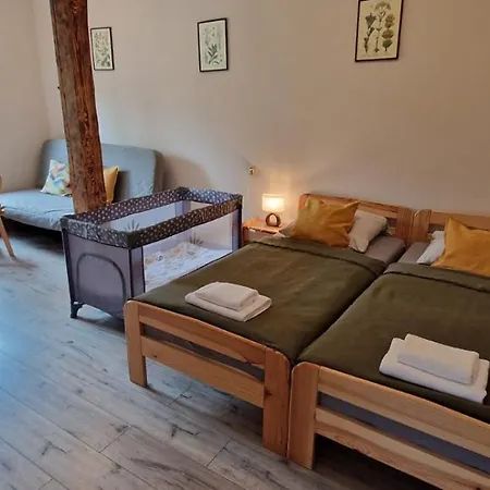 Derkaczowa Kotlina ファームステイ Gniewoszów