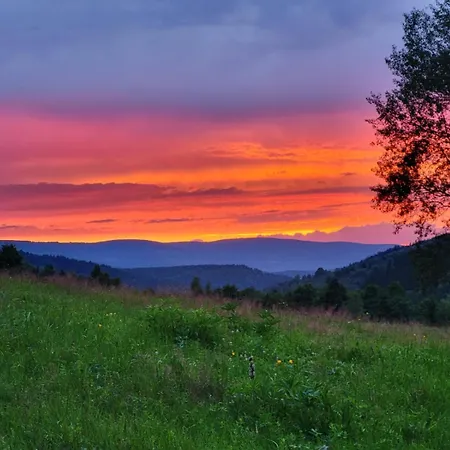 Derkaczowa Kotlina Gniewoszow (Lower Silesia)