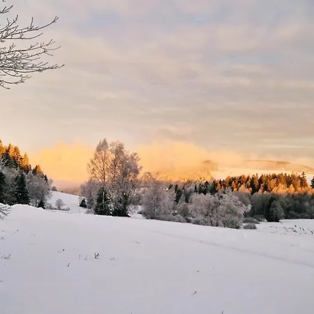 ファームステイ Derkaczowa Kotlina Gniewoszów