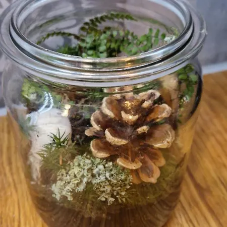 Derkaczowa Kotlina ファームステイ *