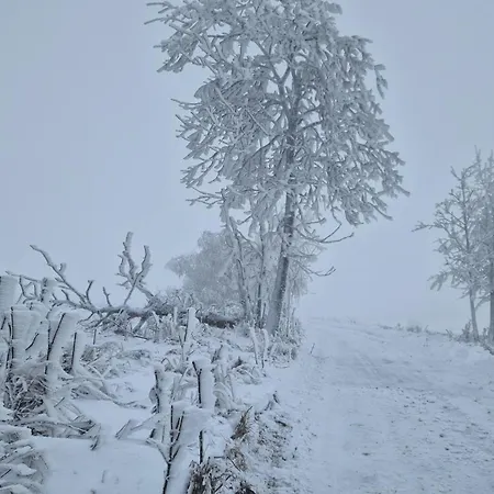 Derkaczowa Kotlina * Gniewoszów