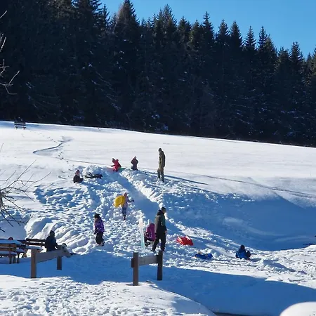 ファームステイ Derkaczowa Kotlina