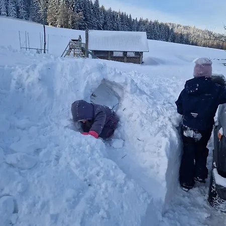 Çiftlik konaklama Derkaczowa Kotlina *