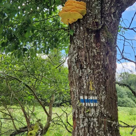 Derkaczowa Kotlina *