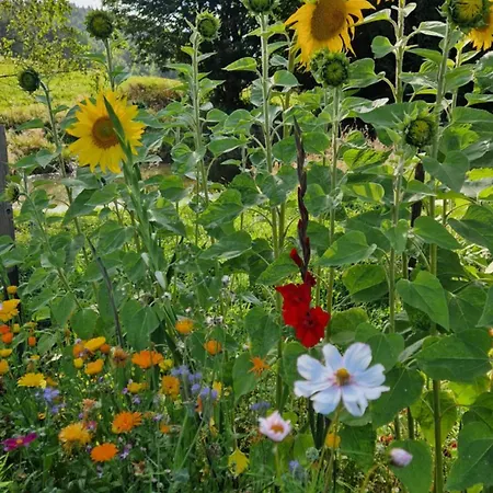 Derkaczowa Kotlina ファームステイ Gniewoszów