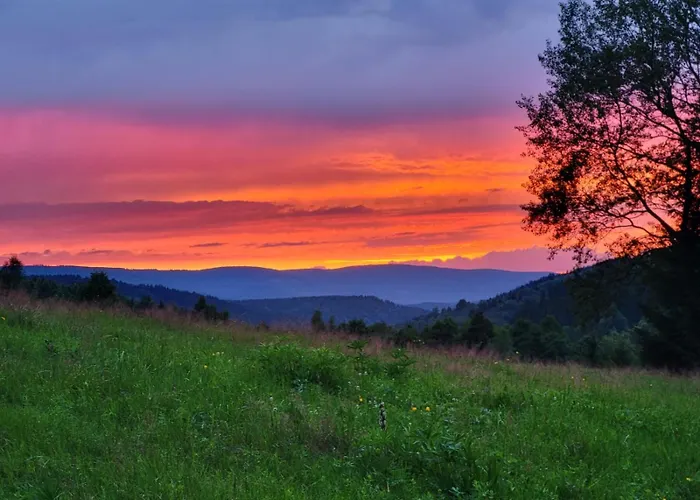 Derkaczowa Kotlina Gniewoszow (Lower Silesia)