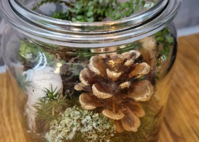 Derkaczowa Kotlina Gospodarstwo agroturystyczne *