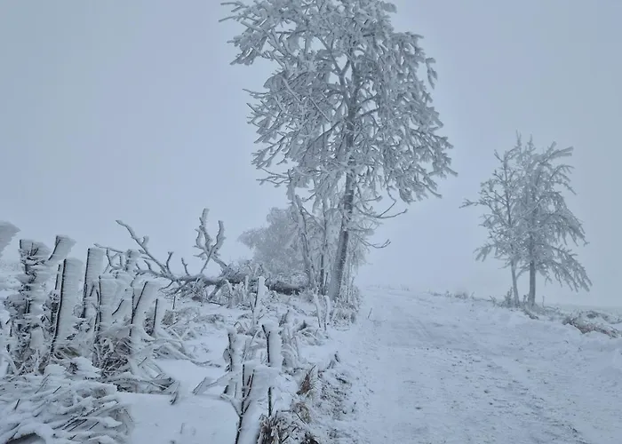 Derkaczowa Kotlina * Gniewoszow (Lower Silesia)