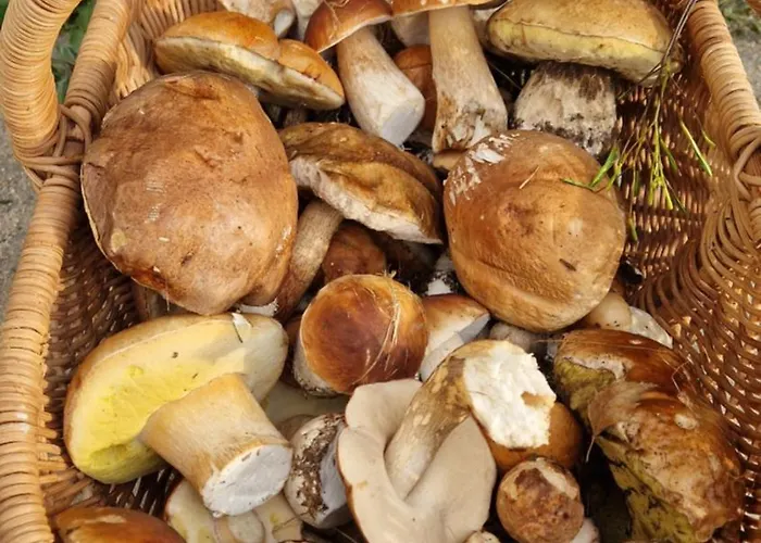 Derkaczowa Kotlina Gniewoszow (Lower Silesia)