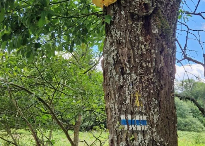 Derkaczowa Kotlina *