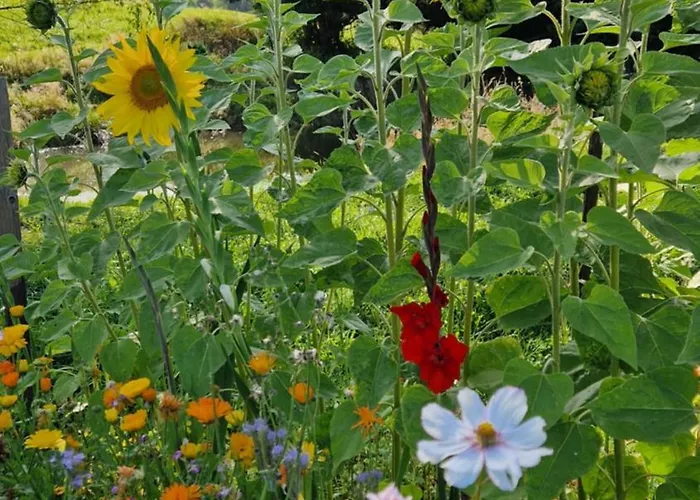 Derkaczowa Kotlina Gospodarstwo agroturystyczne Gniewoszow (Lower Silesia)